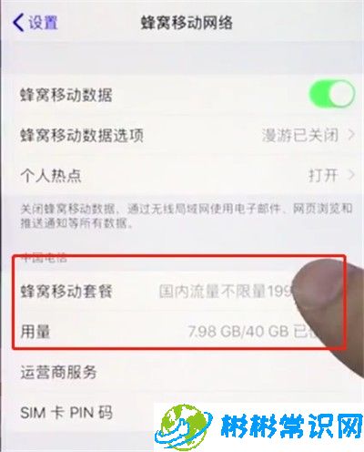 苹果手机,查询移动流量