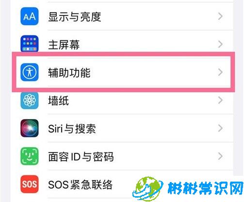 iphone,辅助功能