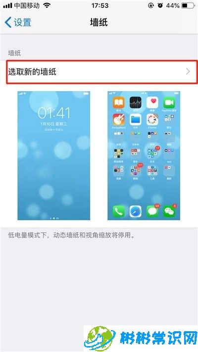 动态壁纸,苹果xs,iphone