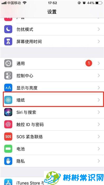 动态壁纸,苹果xs,iphone