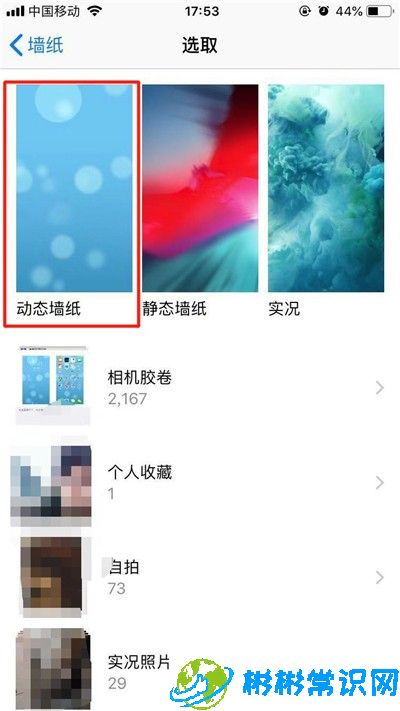 动态壁纸,苹果xs,iphone