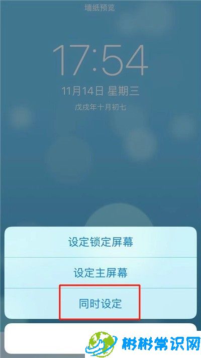 动态壁纸,苹果xs,iphone