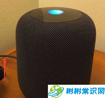 苹果音响homepod怎么重新绑定wifi_苹果音响homepod重新连接网络方法介绍