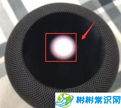 重新绑定wifi