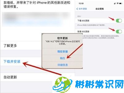 设置,苹果12,iphone,系统安装,系统版本