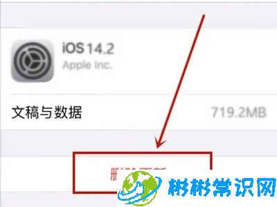 设置,苹果12,iphone,系统安装,系统版本