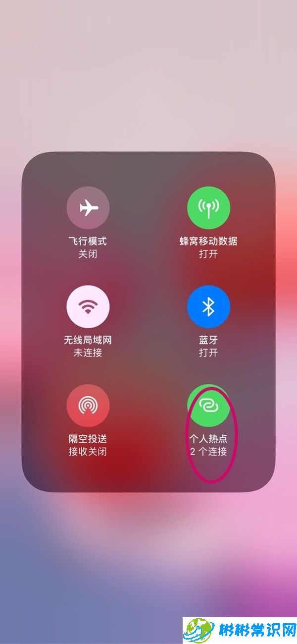 苹果手机,连接热点