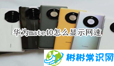 华为mate40网速怎么显示_网速实时显示设置方法