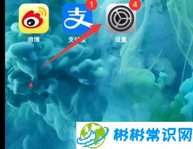 苹果手机在哪开启实况照片功能 苹果相机启用实况照片功能方法