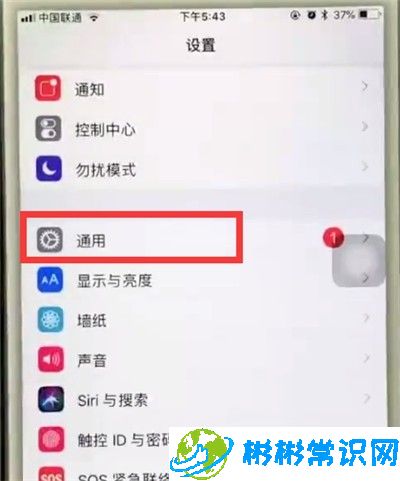 缩放,苹果6plus