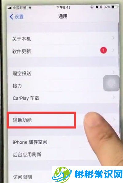 缩放,苹果6plus