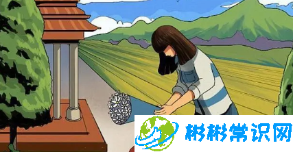 不上坟就是不孝吗