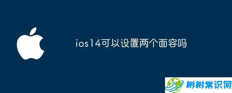 ios14可以设置两个面容吗