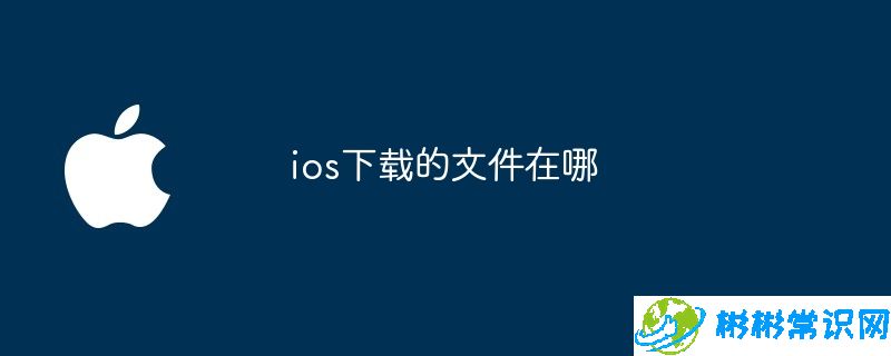 ios下载的文件在哪