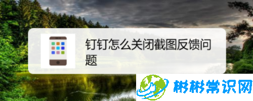 钉钉怎么取消截图反馈_取消截图反馈步骤