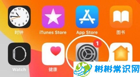 苹果手机怎么禁止安装新的APP 苹果手机禁止安装应用步骤