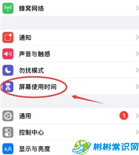 苹果手机,禁止安装,iphone