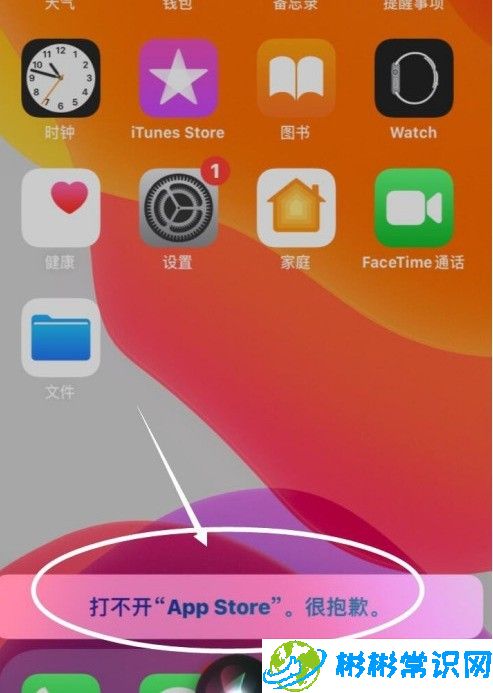 苹果手机,禁止安装,iphone