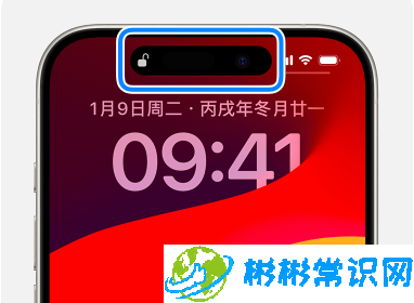 面容id,面容id无法使用,iphone,系统升级,ios 17,ios17