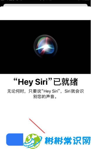 ios14siri怎么设置 siri唤醒功能设置教程