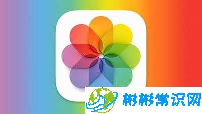 在iPhone上将多张实时照片转换为单个视频