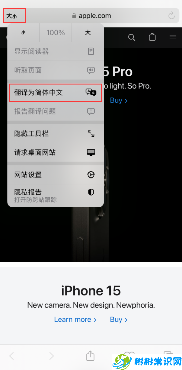 在 iPhone 上使用 Safari 浏览器翻译网页：可设置多种翻译语言