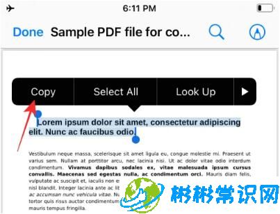 在iPhone上从PDF获取文本的3种方法