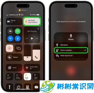 通话,声音,语音隔离,iphone,ios 16