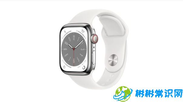 苹果发布watchOS10.4：终于解决了Apple Watch的重大问题