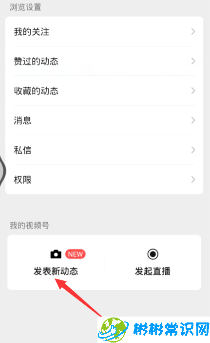 微信视频号新动态怎么发 视频号新动态发布教程