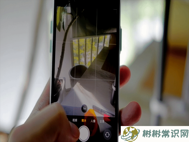 iPhone 15手机拍的照片太亮解决办法