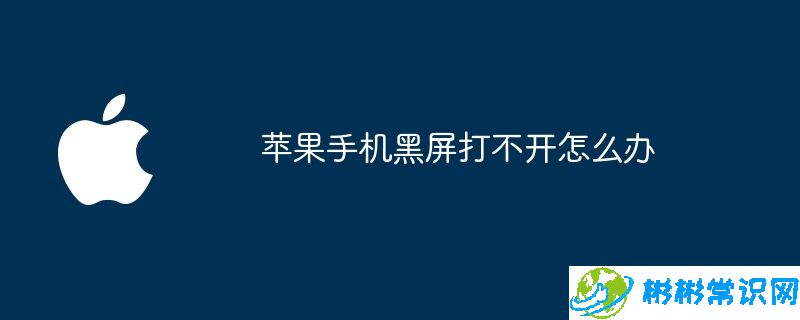 苹果手机黑屏打不开怎么办