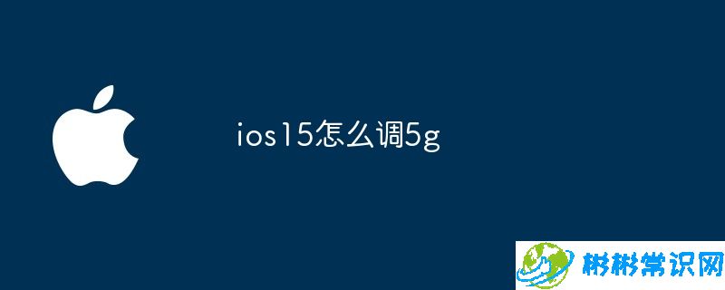 ios15怎么调5g