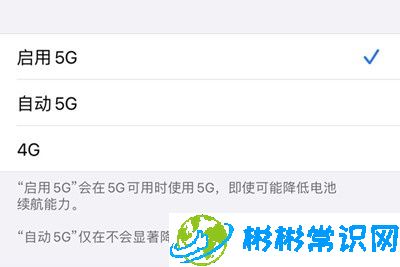 5g,苹果手机,iphone