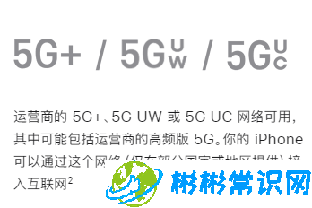 苹果手机5g网络怎么开