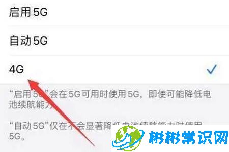 苹果手机5g网络怎么变4g