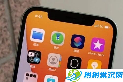 苹果手机5g为什么显示4g