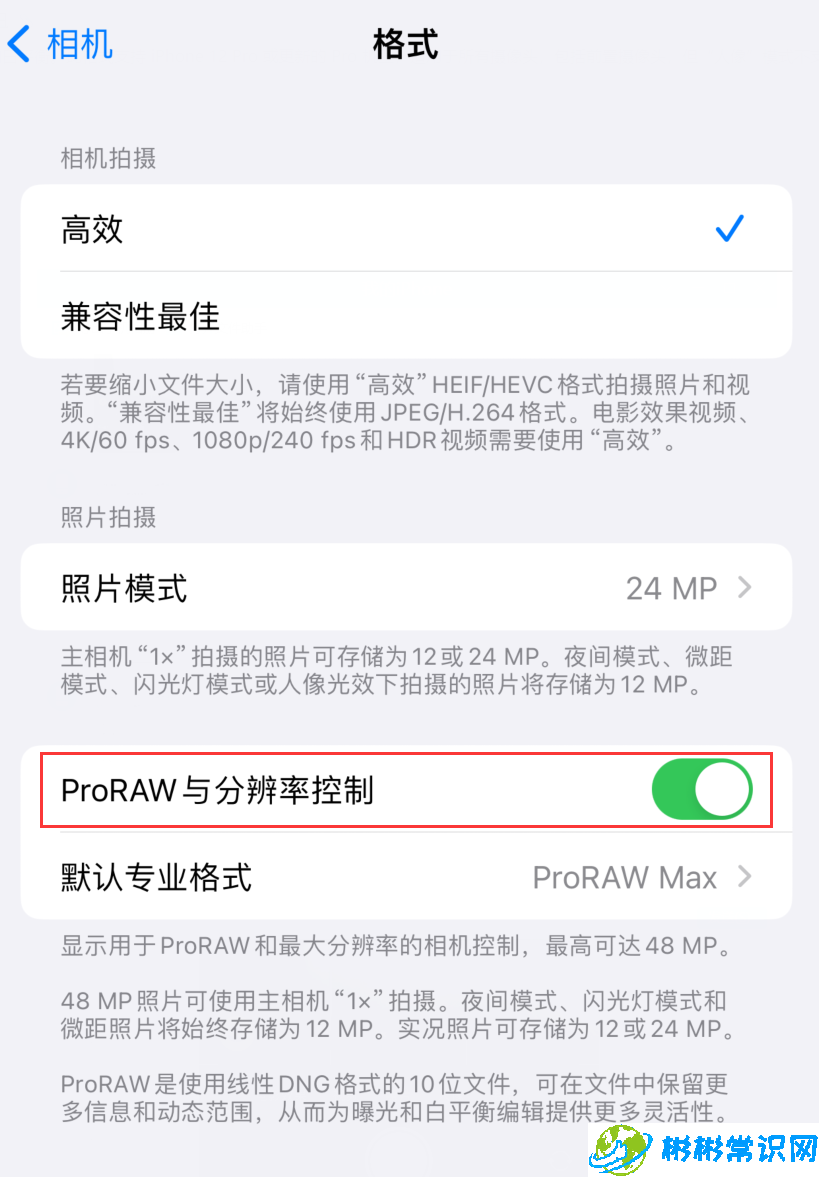 如何在 iPhone 15 Pro 系列机型中设置 Apple ProRAW 格式？