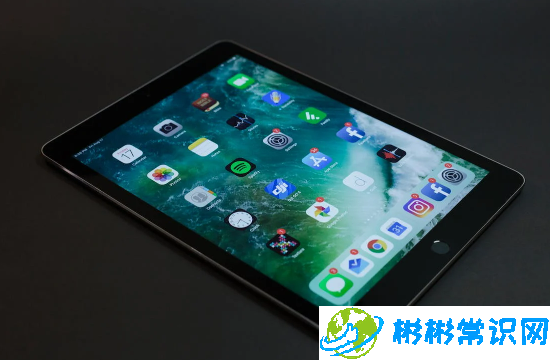 iPad卡在白苹果开不了机怎么办？3种解决办法！