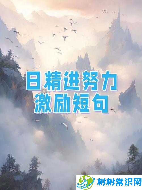 日日精进，久久为功：持续努力不懈怠