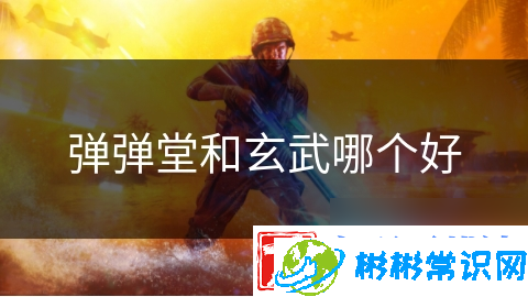 弹弹堂和玄武哪个好