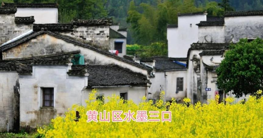 安徽12个免费小众景点(安徽有哪些好玩的地方旅游景点)