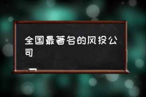 全国最著名的风投公司,投行公司排名？