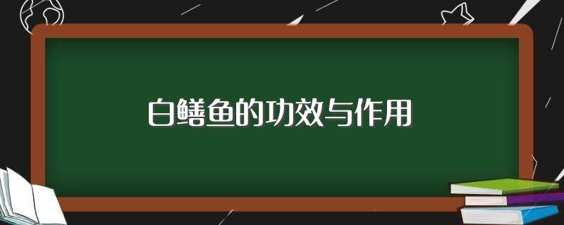 白鳝鱼的功效与作用(白鳝鱼的功效与作用是什么)