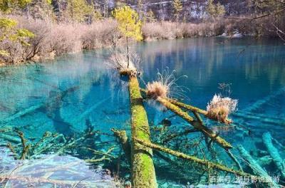 四川黄龙景区的石灰华地貌(位于四川松潘的黄龙景区以什么四绝而著称于世)