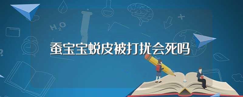 蚕宝宝蜕皮被打扰会死吗(蚕宝宝介绍)