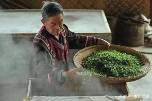 绿茶又可分为蒸青晒青炒青和烘青对吗(烘青绿茶和炒青绿茶的区别)