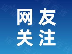 猫头鹰一家在南京相继热中暑,这得热到什么程度？