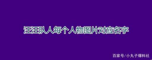 汪汪队人每个人物图片对应名字狗狗(汪汪队人物名称和图片)