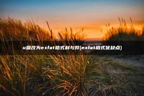 exfat格式优缺点(u盘改为exfat格式利与弊)